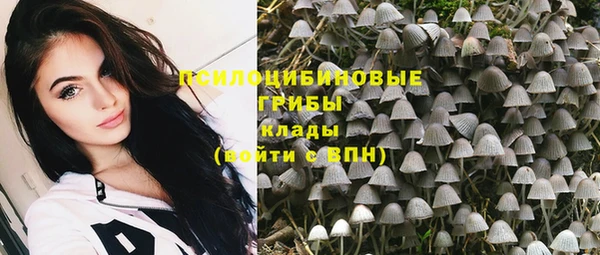 меф Арсеньев