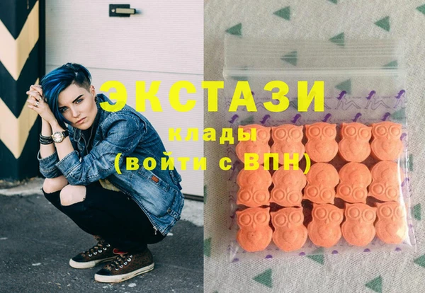 ECSTASY Няндома