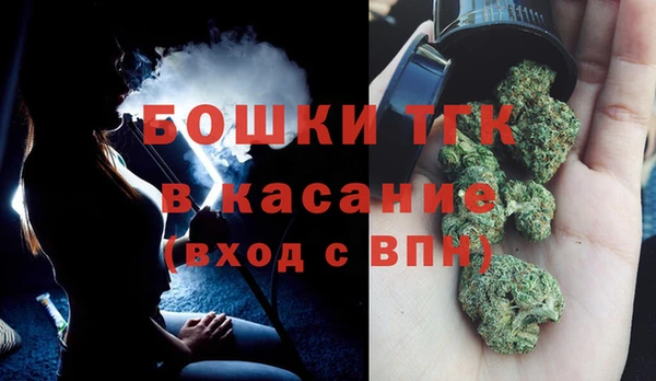 сатива Аркадак