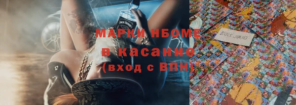 сатива Аркадак