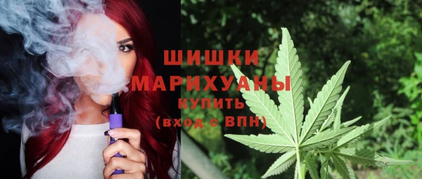 сатива Аркадак