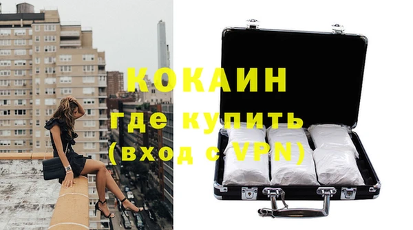 сатива Аркадак