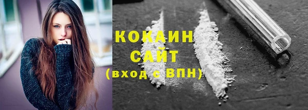 сатива Аркадак