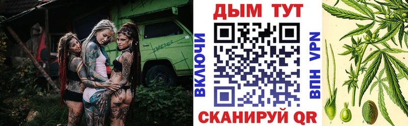 дарнет шоп ссылка на мегу рабочий сайт Конопля гибрид Усинск